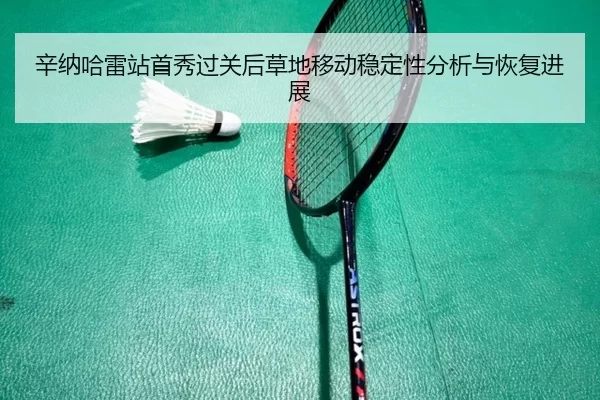 辛纳哈雷站首秀过关后草地移动稳定性分析与恢复进展